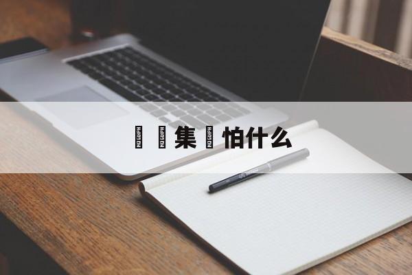 詐騙集團怕什么(诈骗什么部门去抓啊)